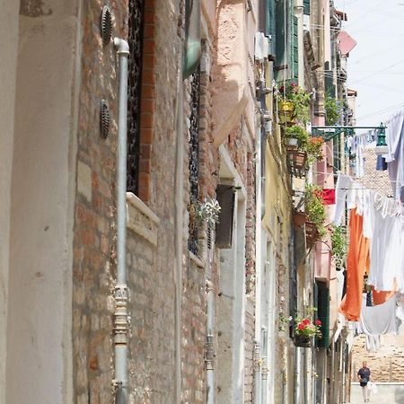 Veneziacentopercento Picenin Apartment エクステリア 写真
